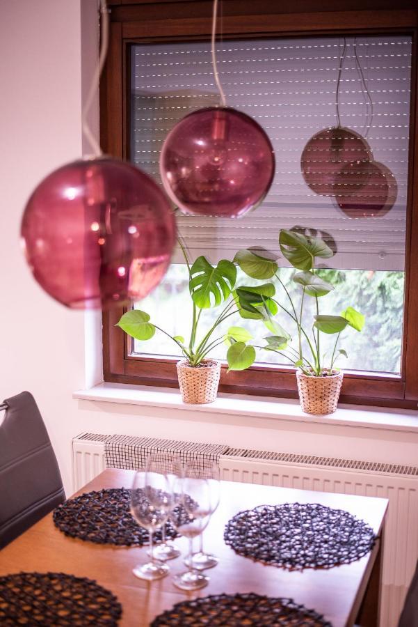 Paprotkowy Zakatek Apartment